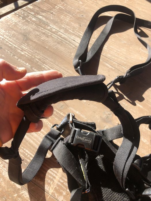 Ham pt. catei cu displazie de sold sau artrita