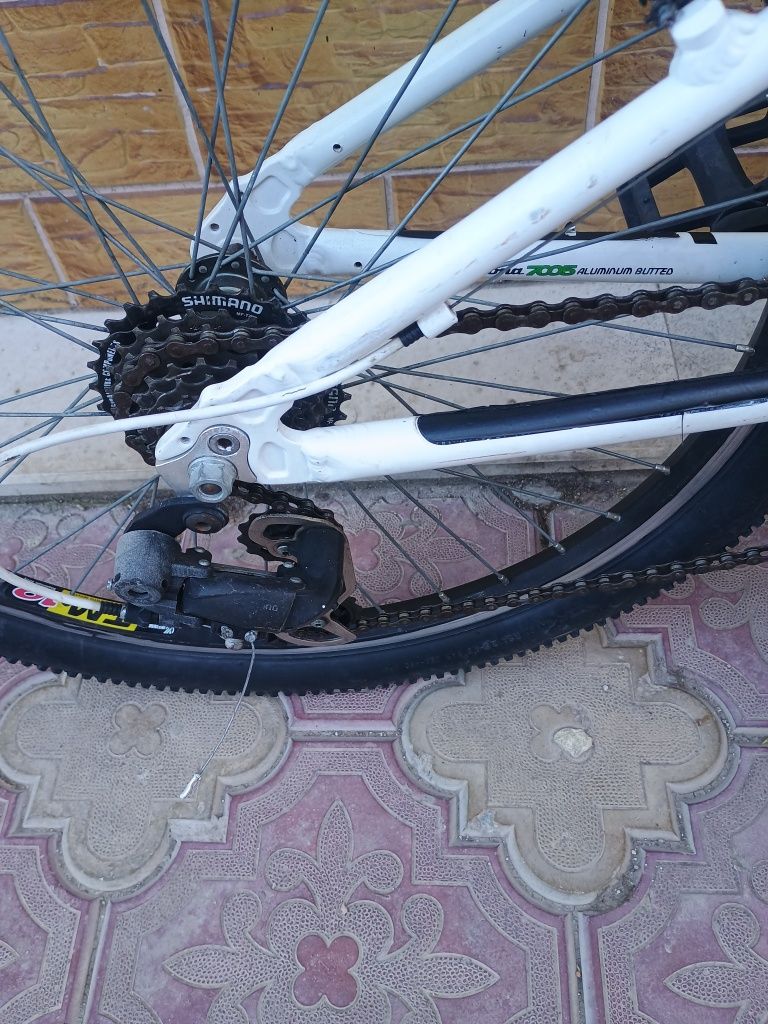Kona 24 цола.         .