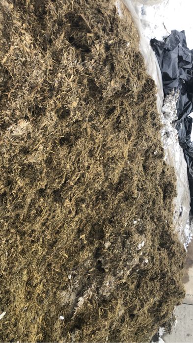 Силос кукурузный