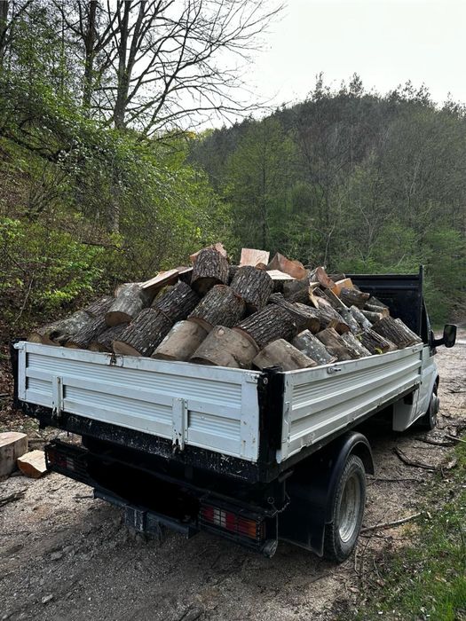 Vand lemn de foc esenta tare