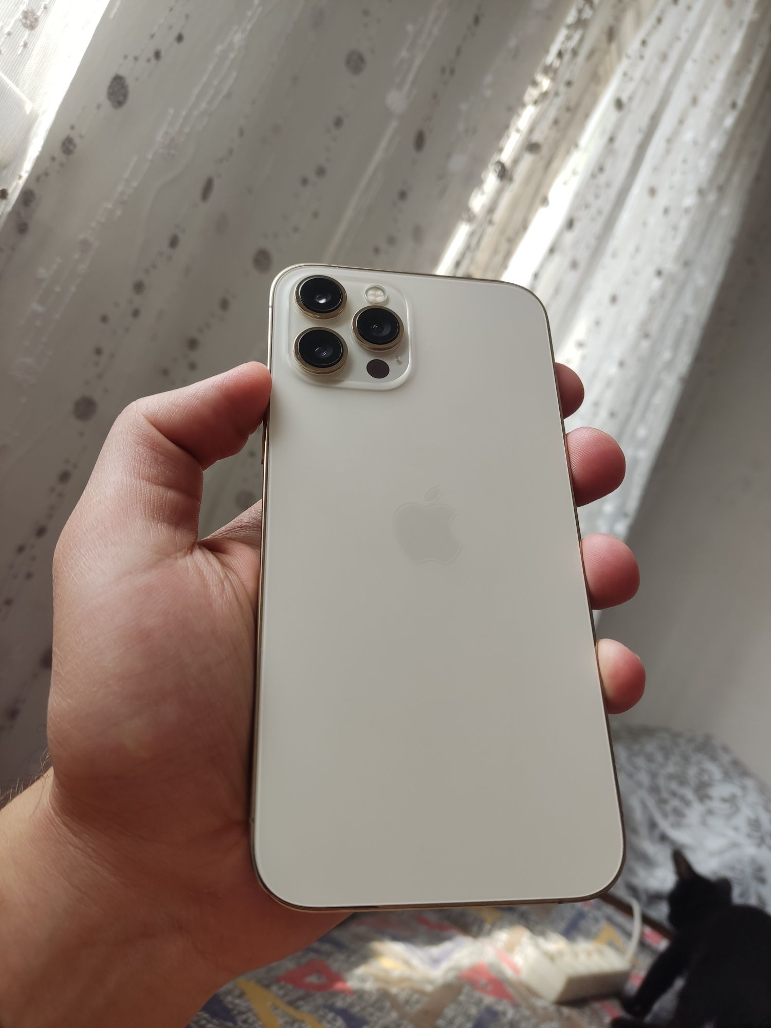 Iphone 12 pro max 256