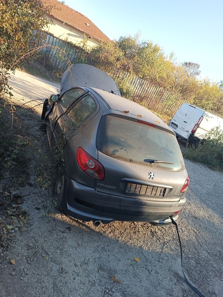 Peugeot 206 plus