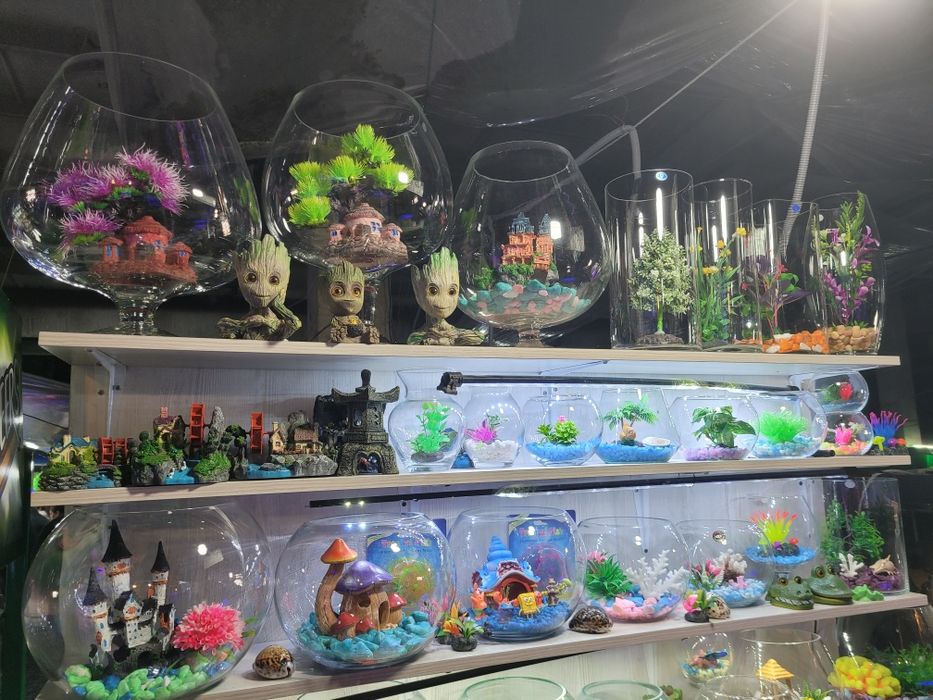 Круглые Аквариумы