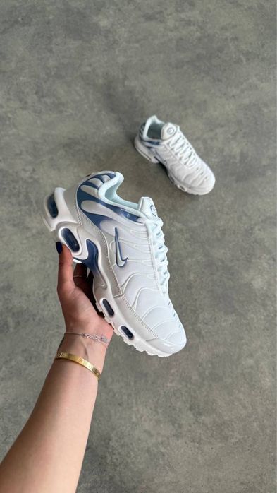 Nike Air Max Plus TN  'Ashen Slate”