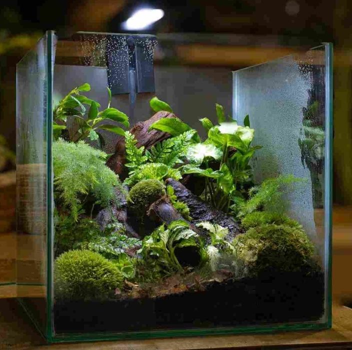 Acvarii/terarii la comandă pe măsură!