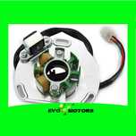 Stator KTM 125 150 250 144 SX Tyla Rattray Husqvarna