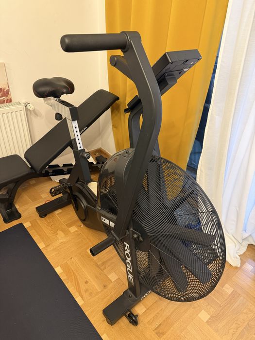 Vand Rogue Echo Bike