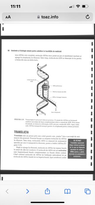 Meditatii Biologie pentru admitere Medicina UMF sau BAC