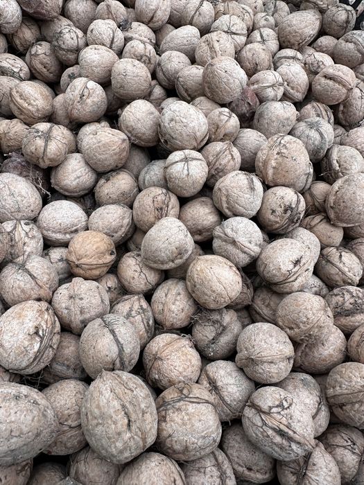 Грецкие Орехи хорошие