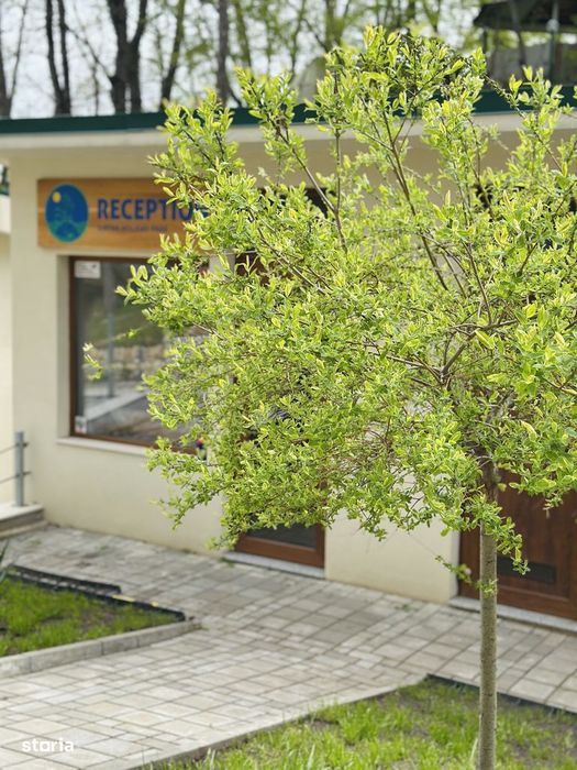 Tourist Business Land and Buildings Seaside Bulgaria