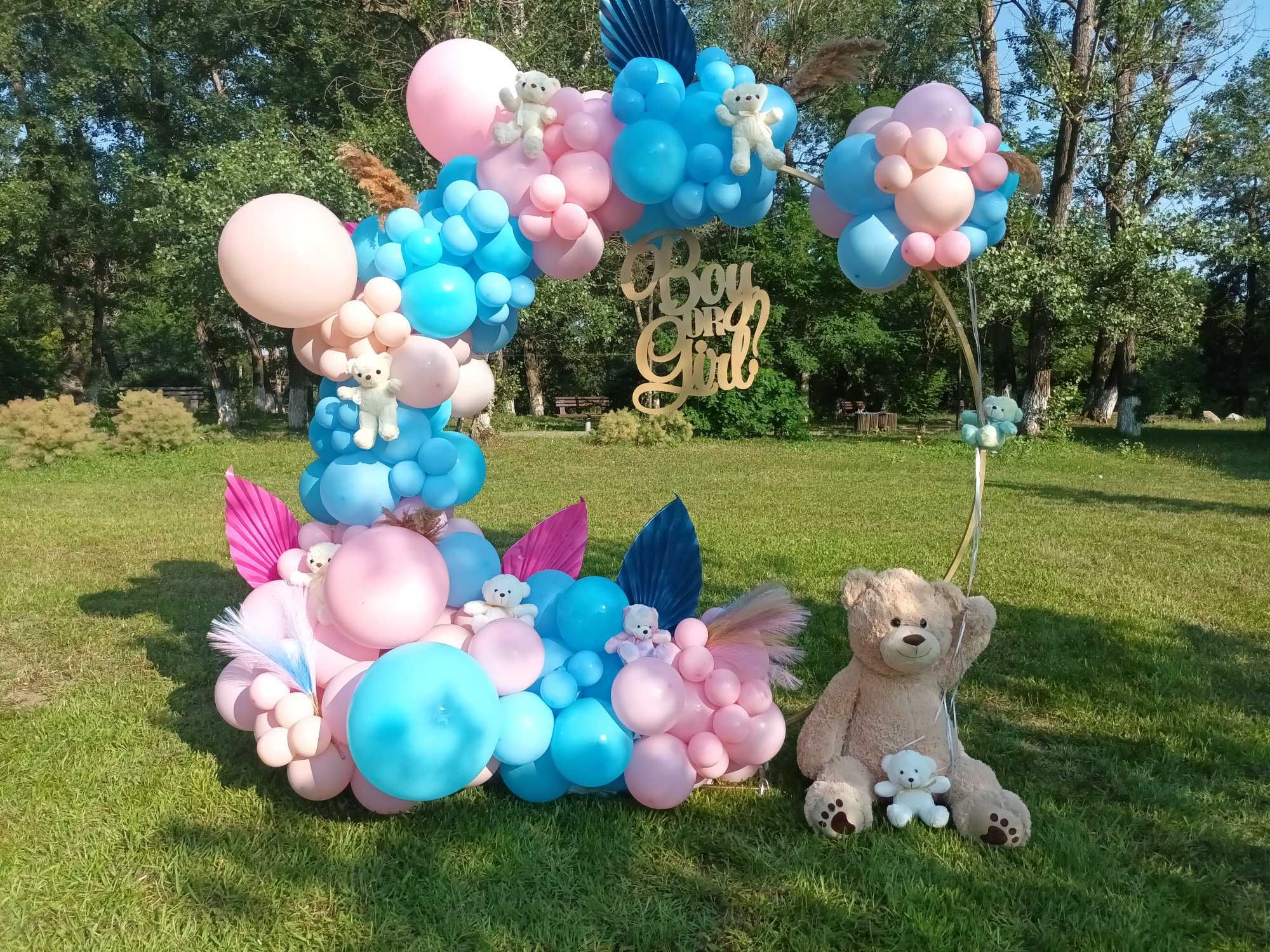 DECOR BALOANE gender reveal, botez, majorat, aniversare, petrecere