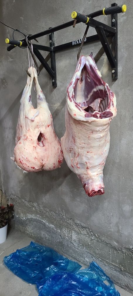 Qassob serviz. Qo'y va qassob xizmatlari. Овцы и мясная услуга.