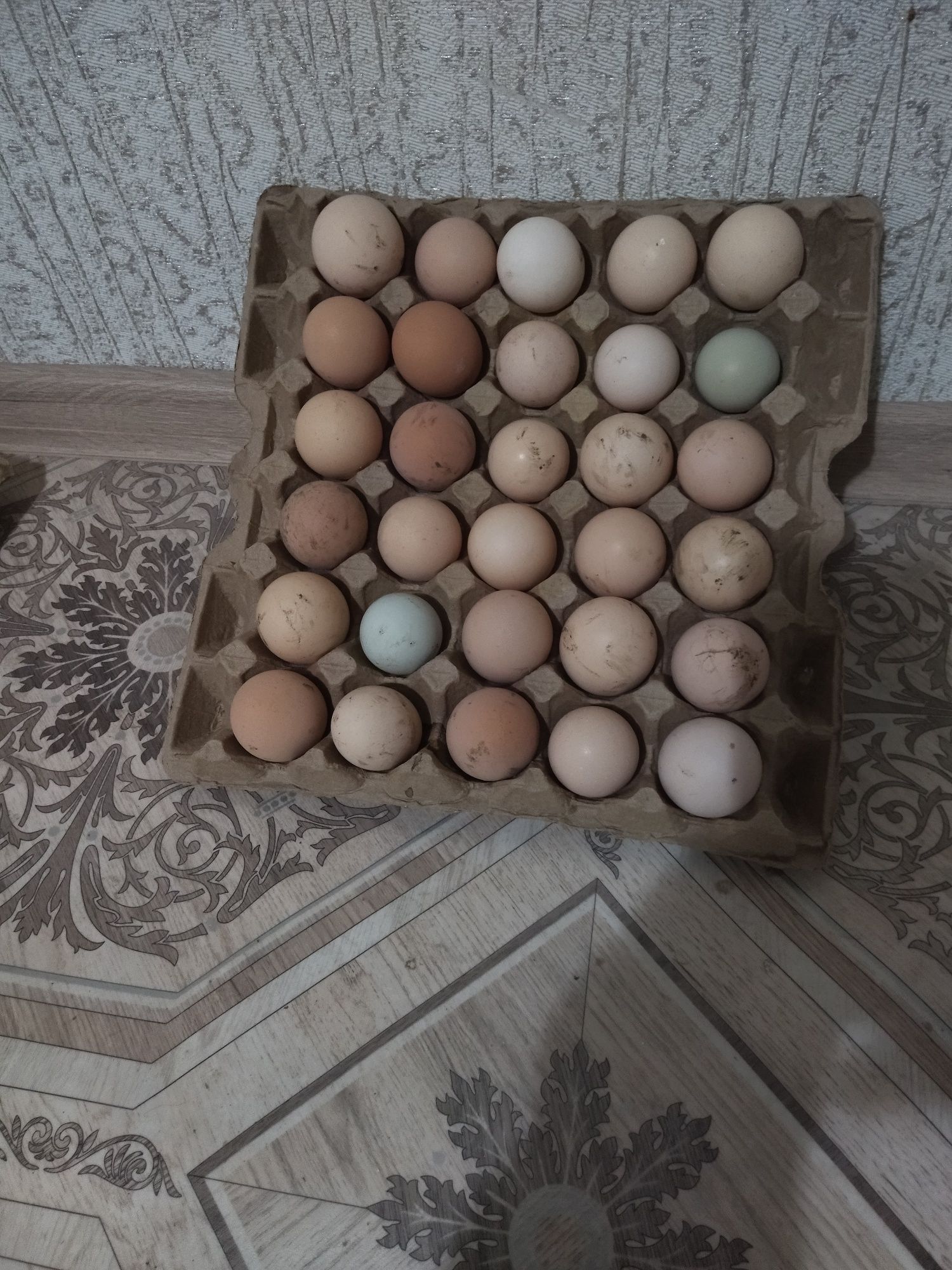Яйца инкубационный.
