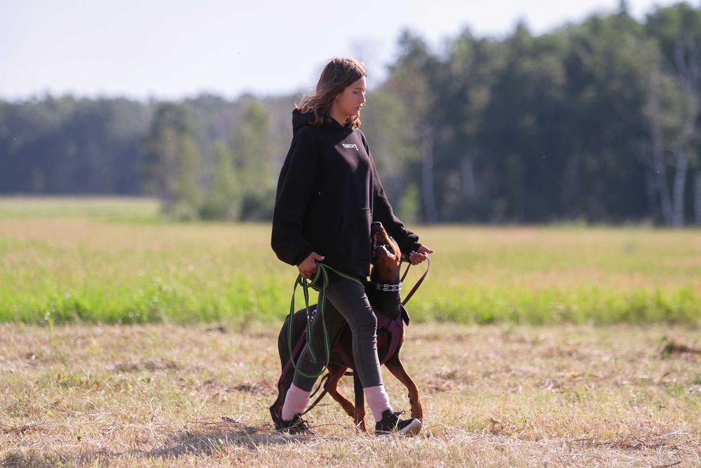 Кинолог/Дрессировка собак