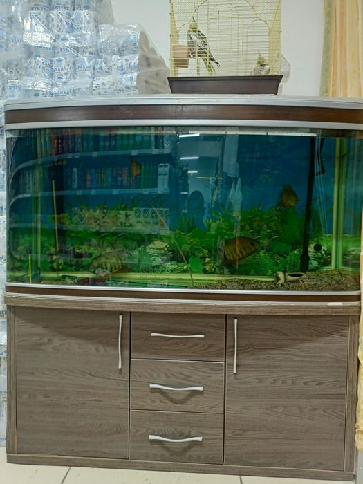 Продам аквариум аводской