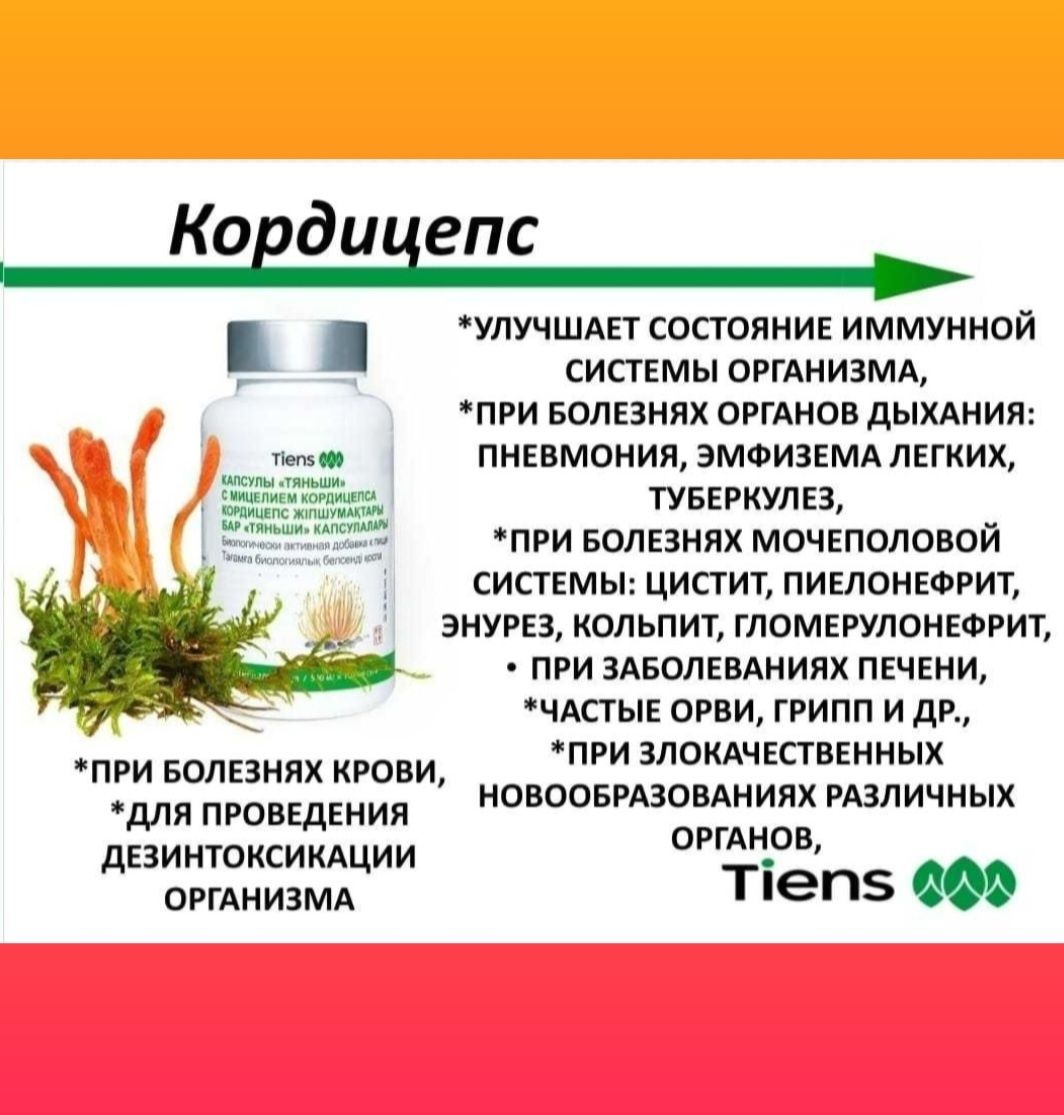 Кордицепс в наличии "Тяньши"
