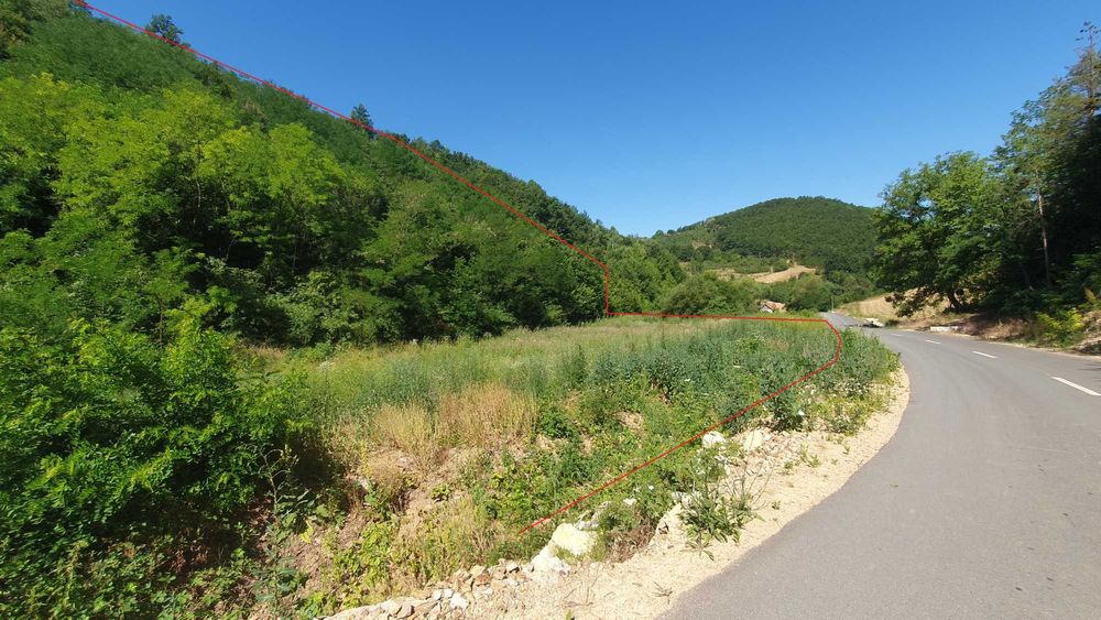1,7 Hectare Teren Casa Vacanta Dumbravita De Codru Muntii Codru Moma