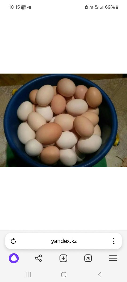 Яйца домашние куриные