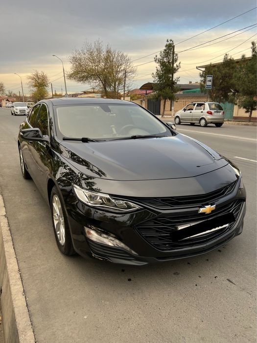 Malibu Premier (Toza)