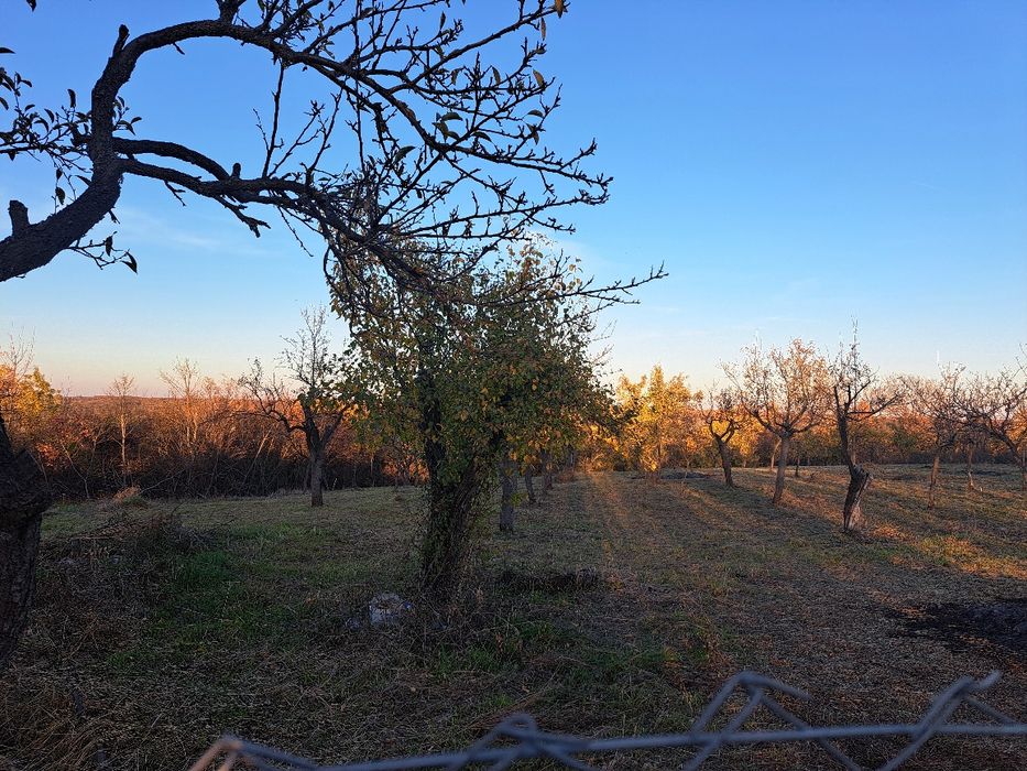 Casa de vanzare Spineni Olt