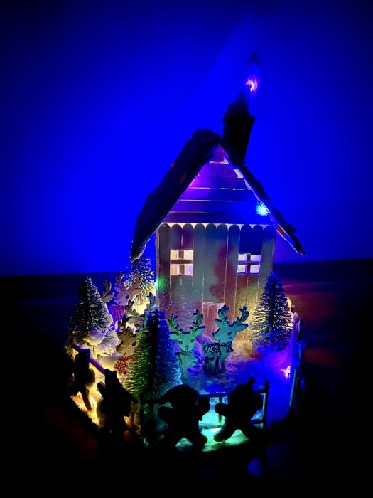 Decoratiuni Craciun!