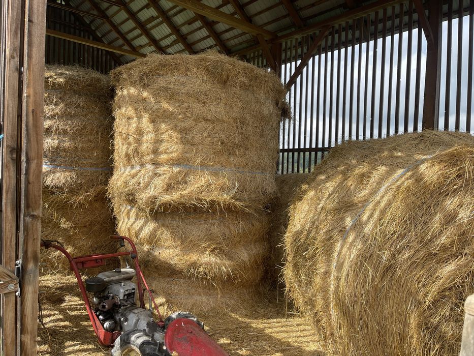 Vând baloți rotunzi!