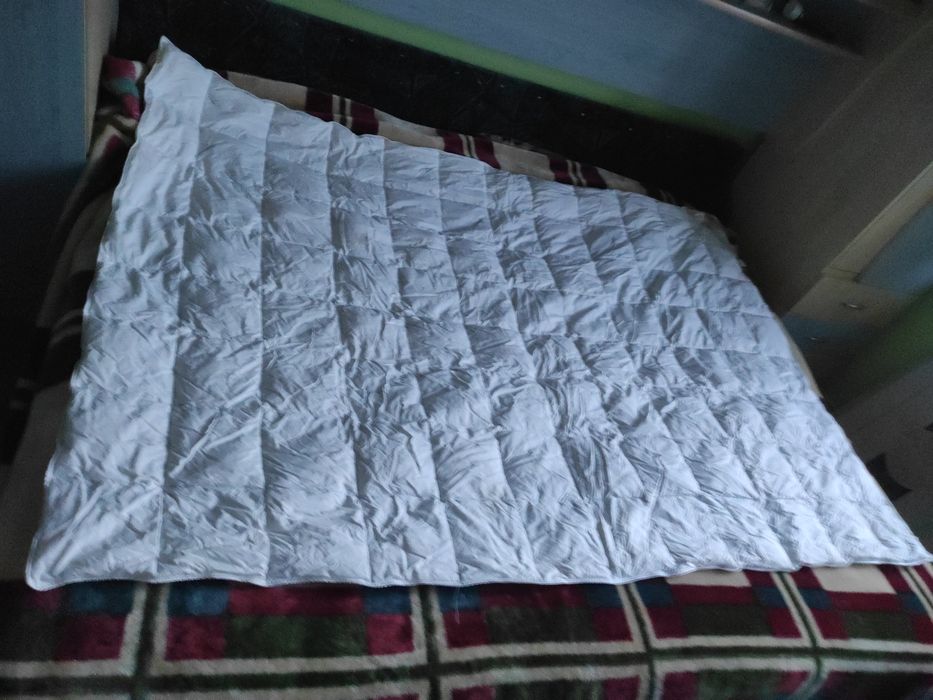 Plapuma din puf de gâscă, import Danemarca