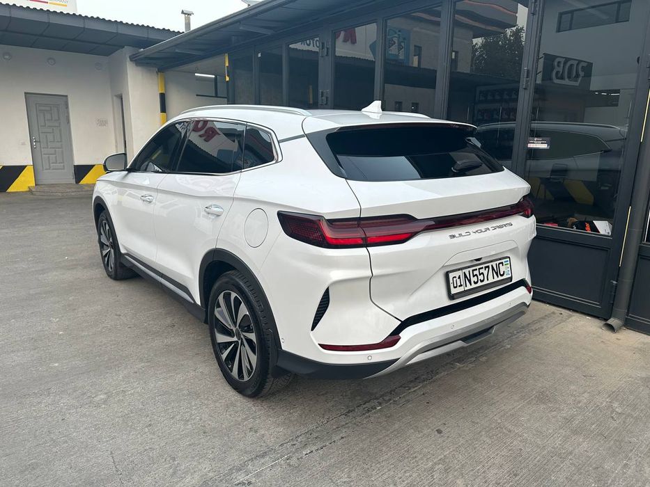 BVD song CHENPION 2023