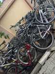 Vand Biciclete Germany trekking de dama diferite modele