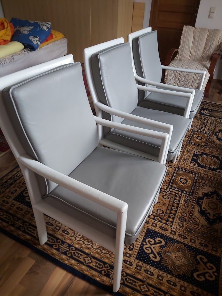Set scaune deosebite lenm