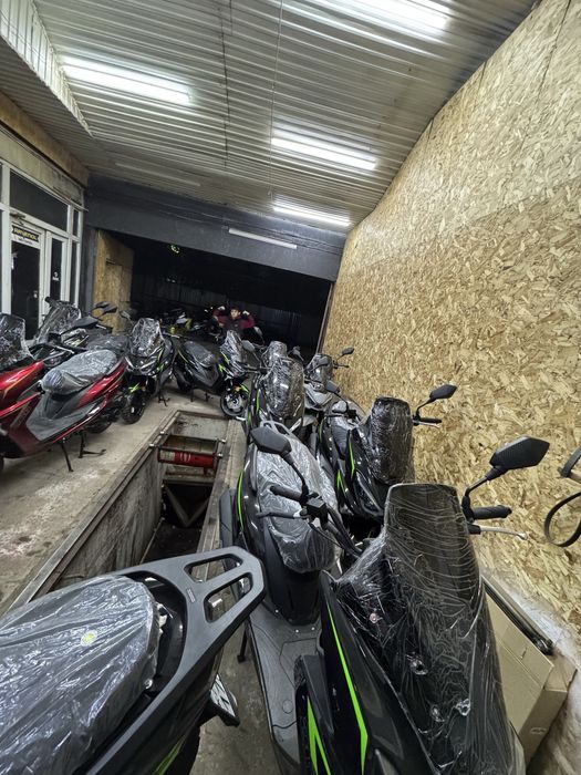 Аренда мопед макси самурай м8