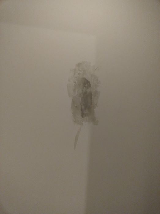 Handy man- la toate reparatiile interioare-painter