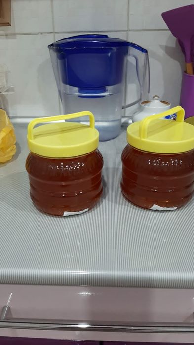 Продам башкирский мед