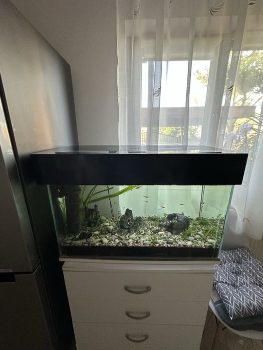 Acvariu 80 L cu pesti si accesorii