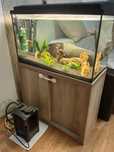 Acvariu pesti Eheim 120L + stand