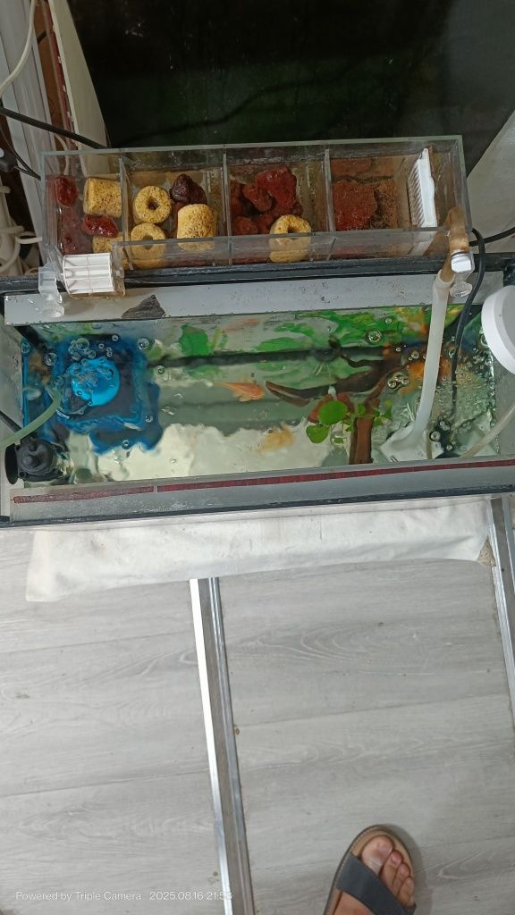 Akvarium Akril Xitoy quyma 300 yaqin srochniy sotiladi+Bonus