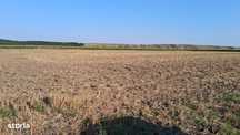 Teren extravilan zona izvoare 28500 mp