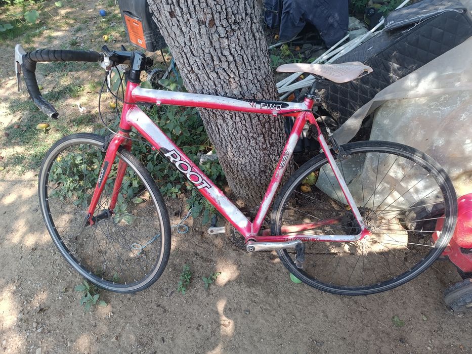 Se vinde urgent Semi cursierar Root