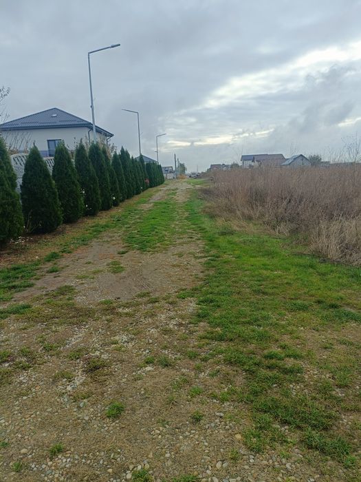 Teren de vânzare com Berceni Mamina