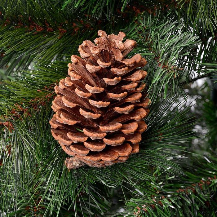 Елха естествено зелена с шишарки