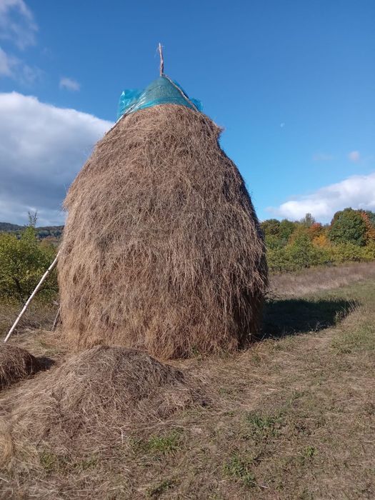 Vand claie de fan   In comuna Tigveni sat vladesti