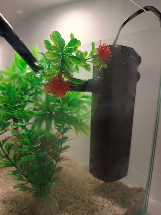 Acvariu sticla curbat complet