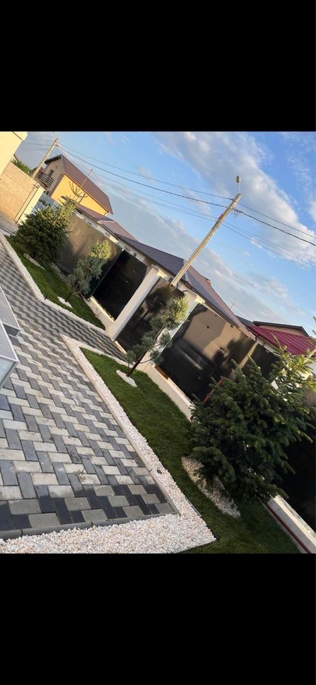 Gazon rulou premium