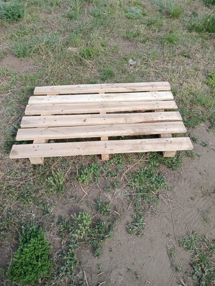 Поддон березовый