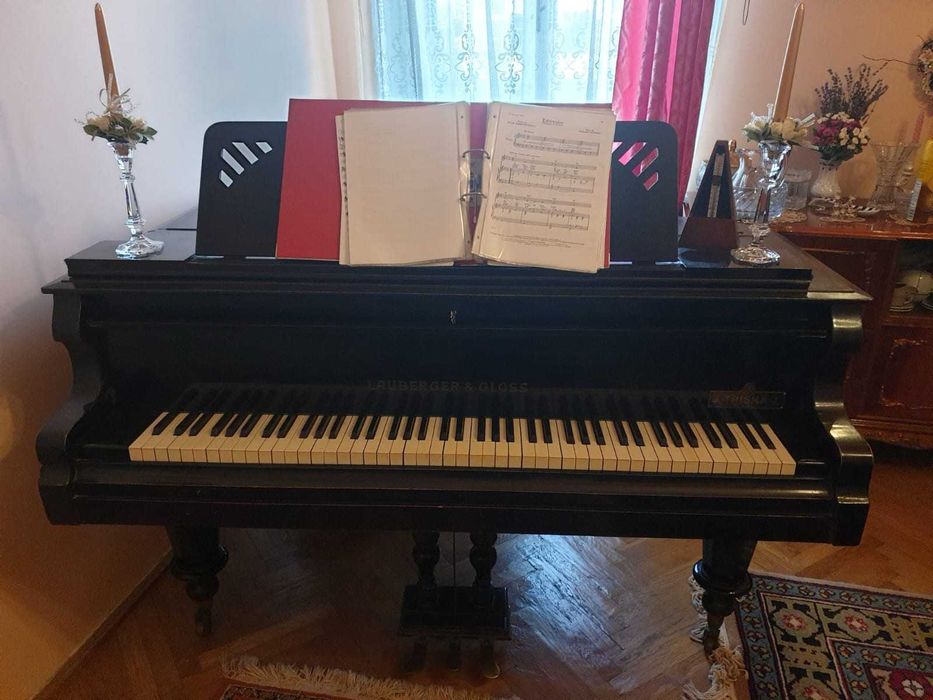 Vand pian vienez cu coada scurt