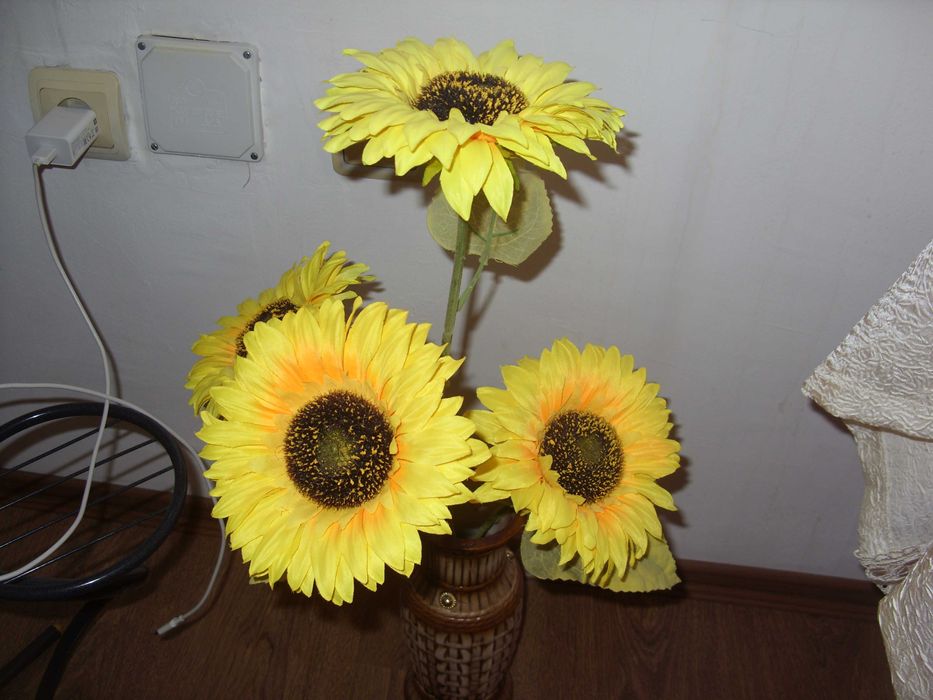 фотоапарат Samsung S1060   10.2 МРх