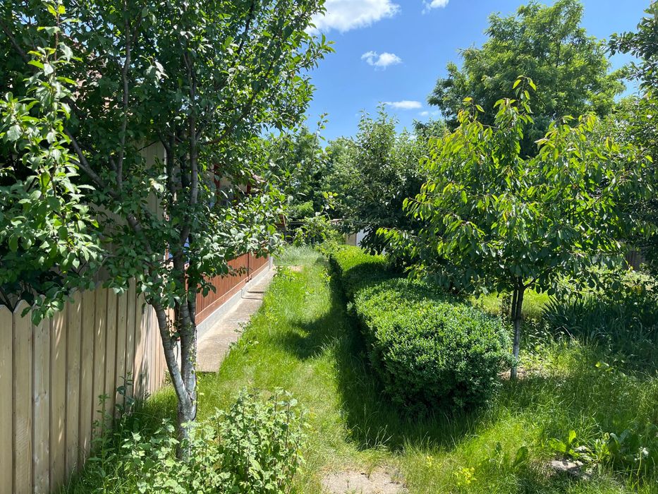 Vând casă+anexe sat bobulesti comuna Ștefănești jud Botoșani