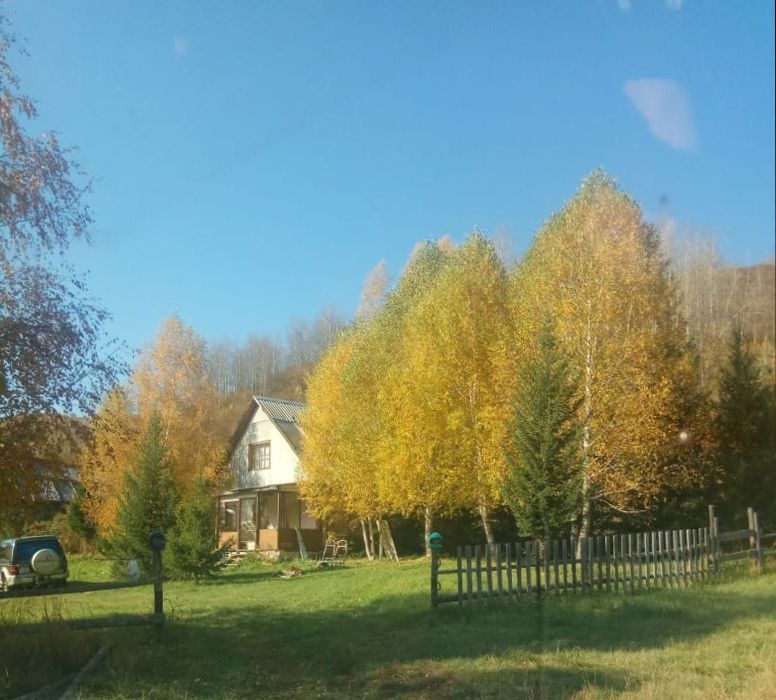 Продам.  Пасеку.