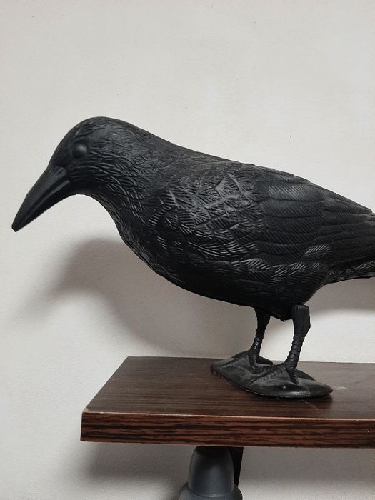 Vând corb din plastic mărime naturală