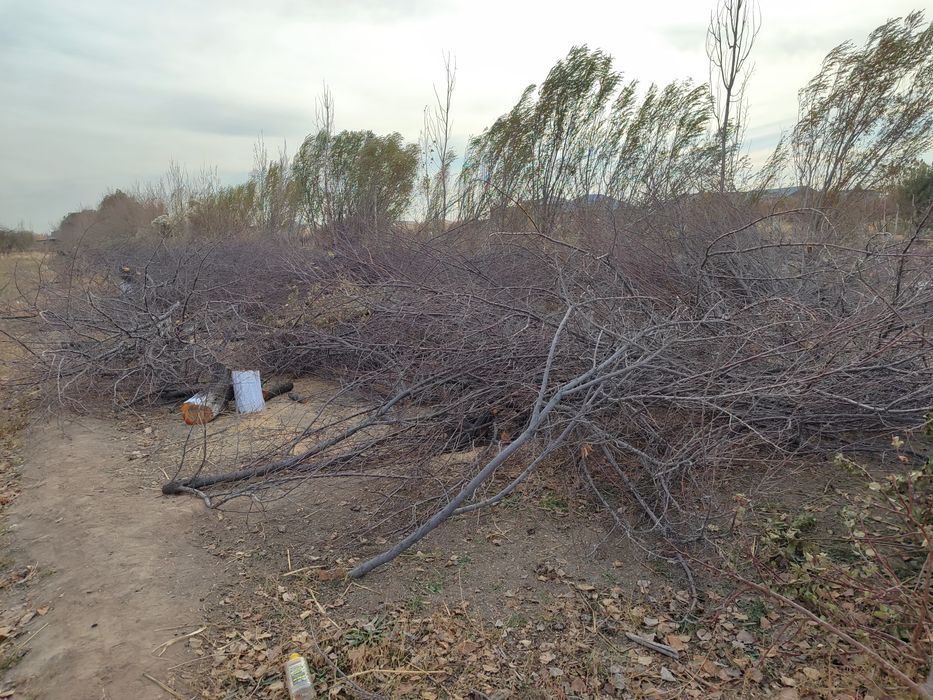 Ōtin sotiladi kelishilgan narxda